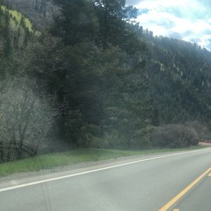 Meet your Posher, Gina